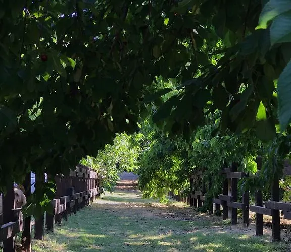 Casa Etna * 布龙泰