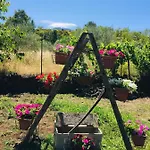 Casa Etna Casa vacanze Bronte
