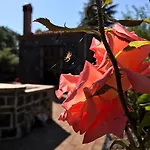 Casa Etna Casa vacanze Bronte