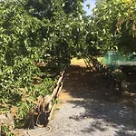 Casa Etna Casa vacanze *