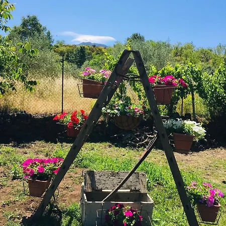 Casa Etna بيت للعطل برونتي