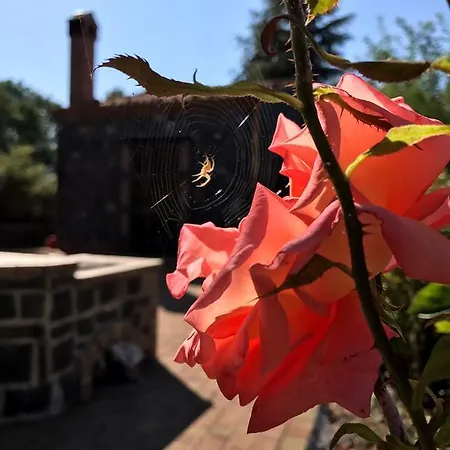 Casa Etna بيت للعطل برونتي