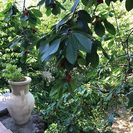 Casa Etna برونتي