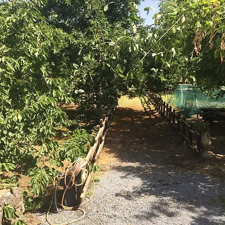Casa Etna بيت للعطل *