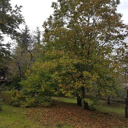 Casa Etna بيت للعطل